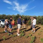 Les Term. CGEA dans le VAR