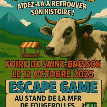 Foire&#x20;de&#x20;Saint-Bresson