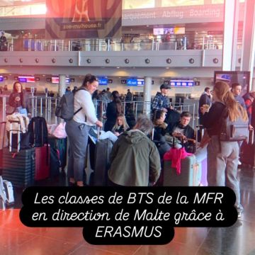 Malte avec Erasmus