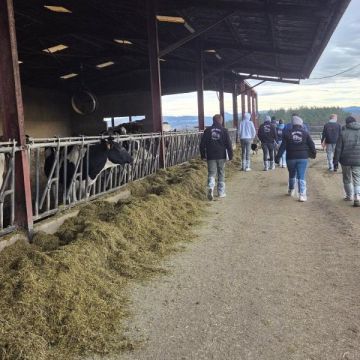 Les ACSE en "Experts"