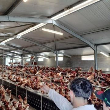 Les Sde Agri. en goguette
